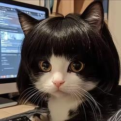 MEOWX