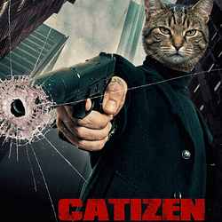 CATIZEN / SOL