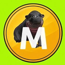 Maplecoin / USDG