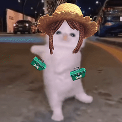 BIUBIUBIUCAT / WETH