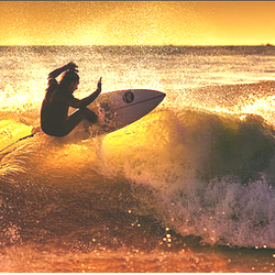WAVE / SOL