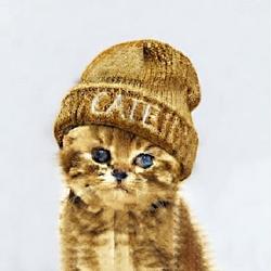 CATE