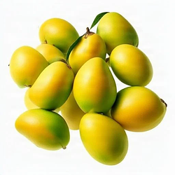 MANGOS