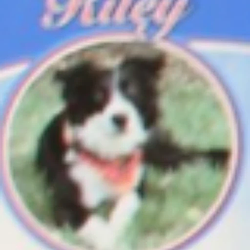 RILEY