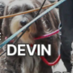 Devin / SPCX