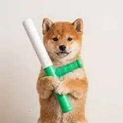baton / SOL