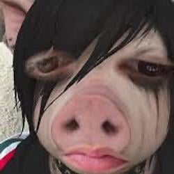 $EMOPIG / SOL