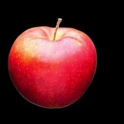 Sapple