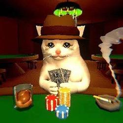 CATSINO