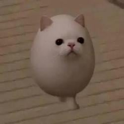 EGGCAT / BNB