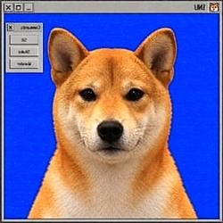 INU