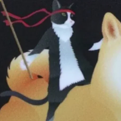 ninjacat