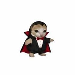 Vampurr