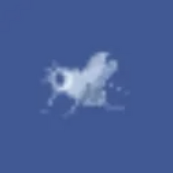 flybook