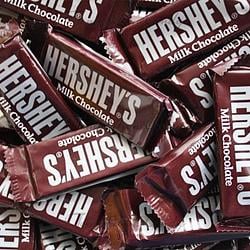 chocolate / SOL