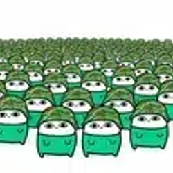HOLDERS
