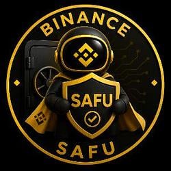 资金安全 / BNB