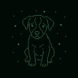 Brain Dog / SOL