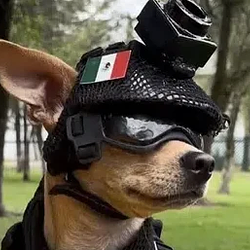 Sí