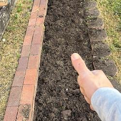 dirt / SOL