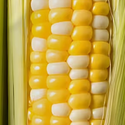 $CORNY