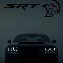 Dodge