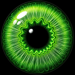 LENS