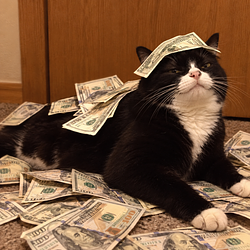 $RICH
