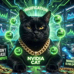 NIGGACATBALLS / SOL