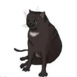 nigcat