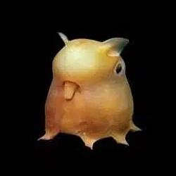 Grimpoteuthis