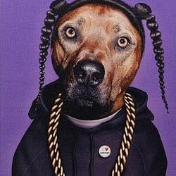 DAWG