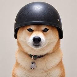 Chachamaru