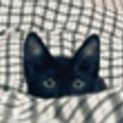 lolcat
