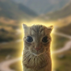 peace / SOL