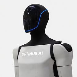 Optimus