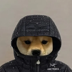 Arcteryx