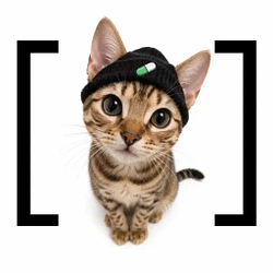 bracat logo