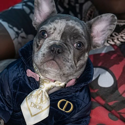 DIOR