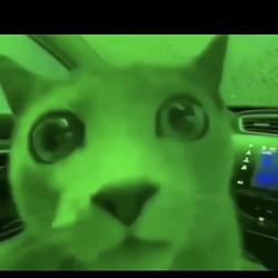 Luvgreen
