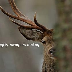 STAG