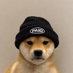 Pawd