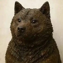 shitinu / SOL