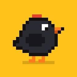 FLOCK