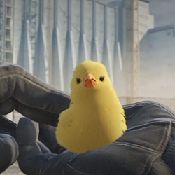 Chicken