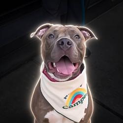 Axel