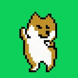 8bit