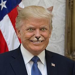 ctp