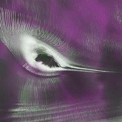 HUMMINGBIRD / SOL