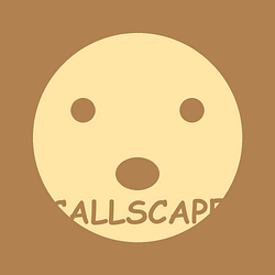 CALLSCAPE